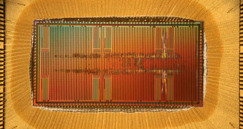 © Stefan Schiefer; Eine Eigenentwicklung der TUD-Forscher ist dieser Bionect-Chip, der auf die Verbindung von künstlichen Neuronen und biologischem Gewebe ausgelegt ist.