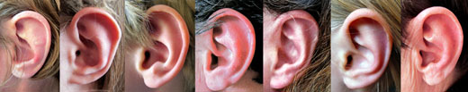 © H.Goehler; Menschliche Ohren sind empfindlicher als bisher angenommen.